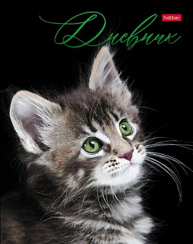 fftx5cmcoz9obk3ve0g1vuud09utep7l