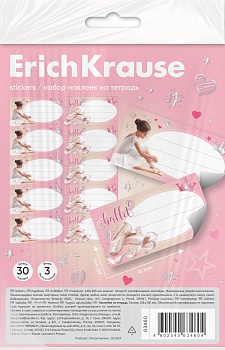Наклейки на тетрадь ErichKrause Pointes, 3 листа, в пакете с европодвесом