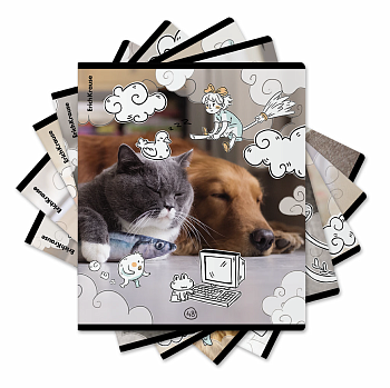 Тетрадь общая ученическая с пластиковой обложкой на скобе ErichKrause Dream Cat, А5+, 48 листов, кле