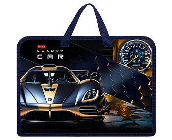 AMn_08089 Папка для тетрадей Пластиковая А4ф 1 отделение с РУЧКАМИ 245х340х70мм на молнии- Luxury Ca